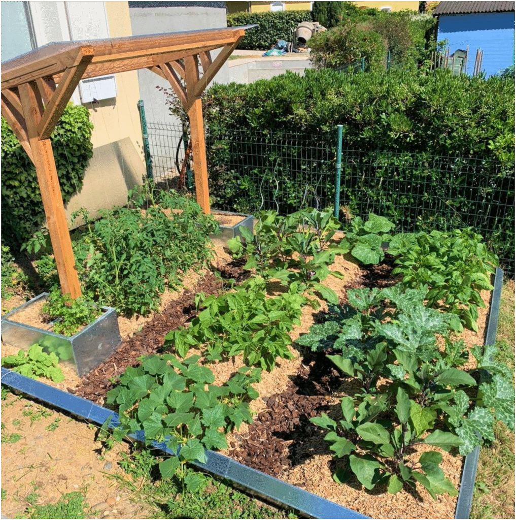 Potager pleine terre