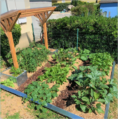 Potager pleine terre